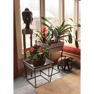 ACHLA DESIGNS 25 in. Tall Black Powder Coat Metal Large IndoorOutdoor Arne Plant Stand with Deep Galvanized Tray FB-46G7