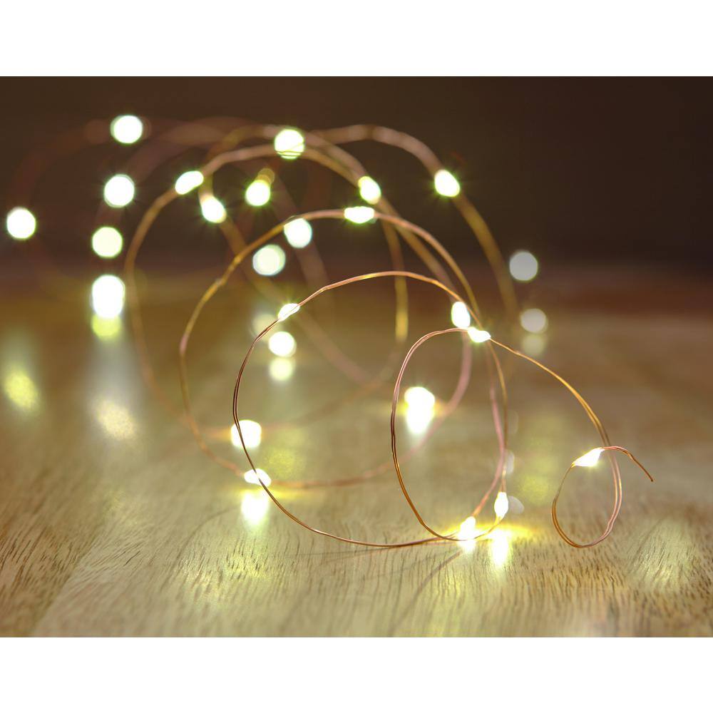 Hampton Bay 16 ft. Battery Powered 50 Bulb Copper Wire IndoorOutdoor Fairy String Light NXT-1010