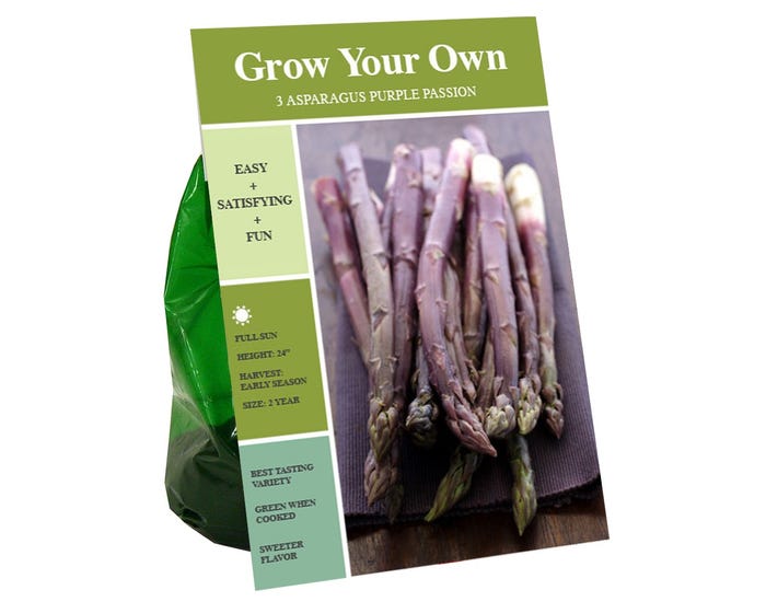 Van Zyverden Inc. Asparagus Purple Passion 09806