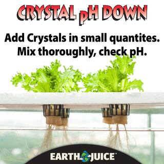 Earth Juice 1.6 lb. Crystal Down pH Adjuster 100538621