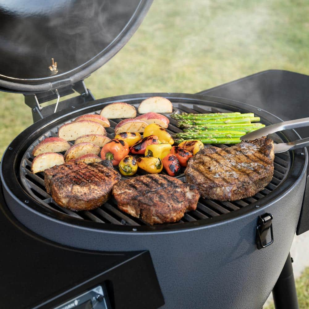 Char-Griller Akorn Auto-Kamado 20-inch Digital WiFi Charcoal Grill in Gray 6480