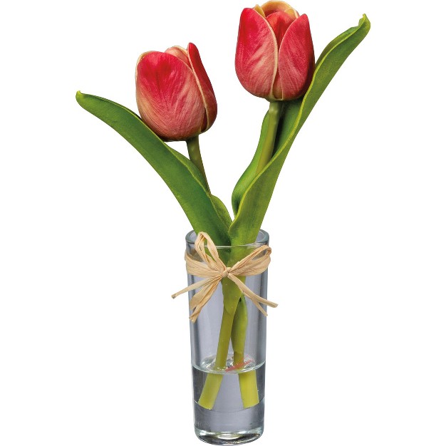 Red Mini Tulip With Vase