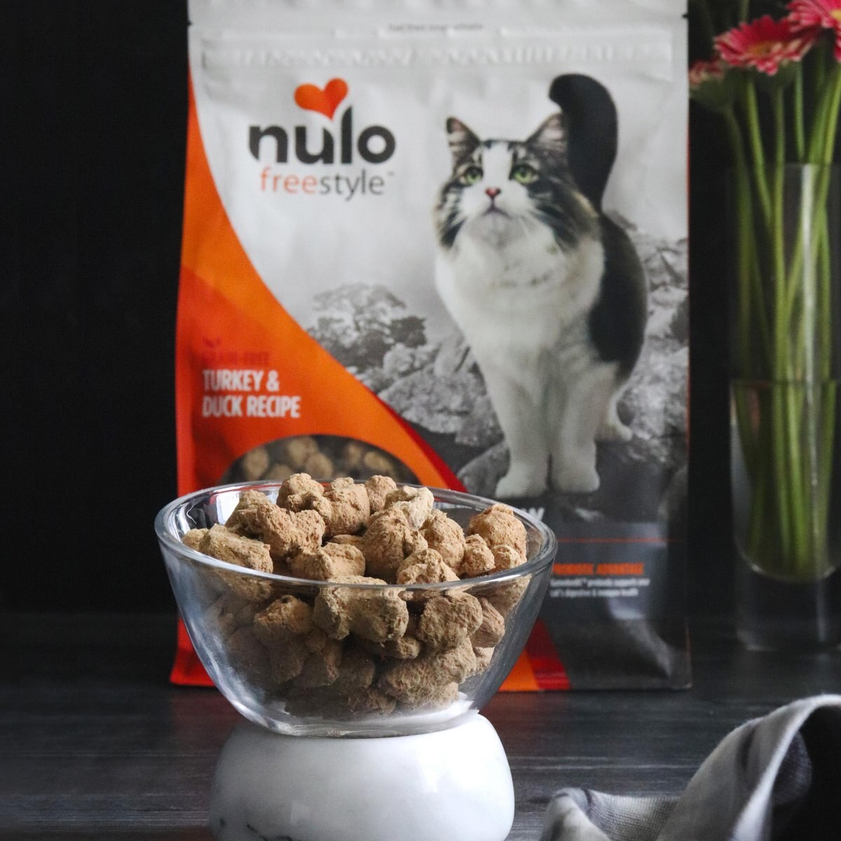 Nulo FreeStyle Turkey and Duck Recipe Freeze-Dried Raw Cat Food