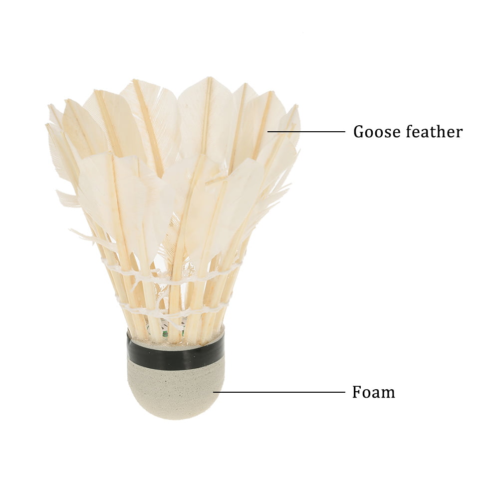 Anself 12 Pieces Badmintons Duck and Goose Feather Cock and Foam Head Shuttlecock Set with Storage Tube