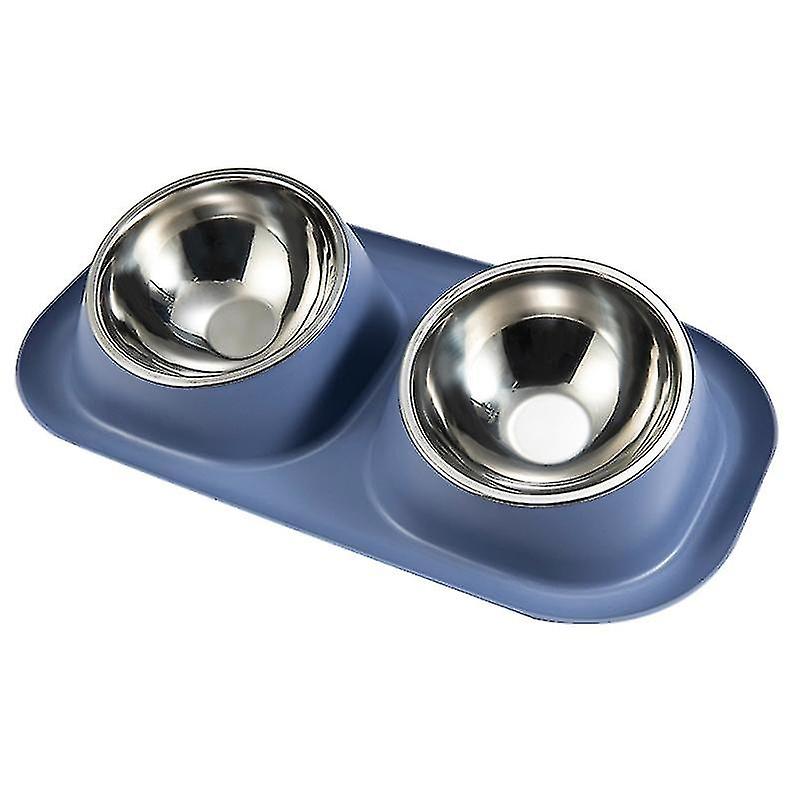 Double Cat Dog Bowls Stainless Steel Pet Bowl With Non Slip Plastic Tilted Stand Cats Dogs Feeders P