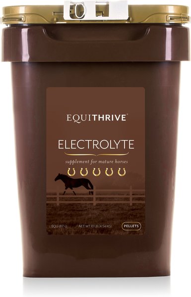 Equithrive Electrolyte Hay Flavor Pellets Horse Supplement， 10-lb tub