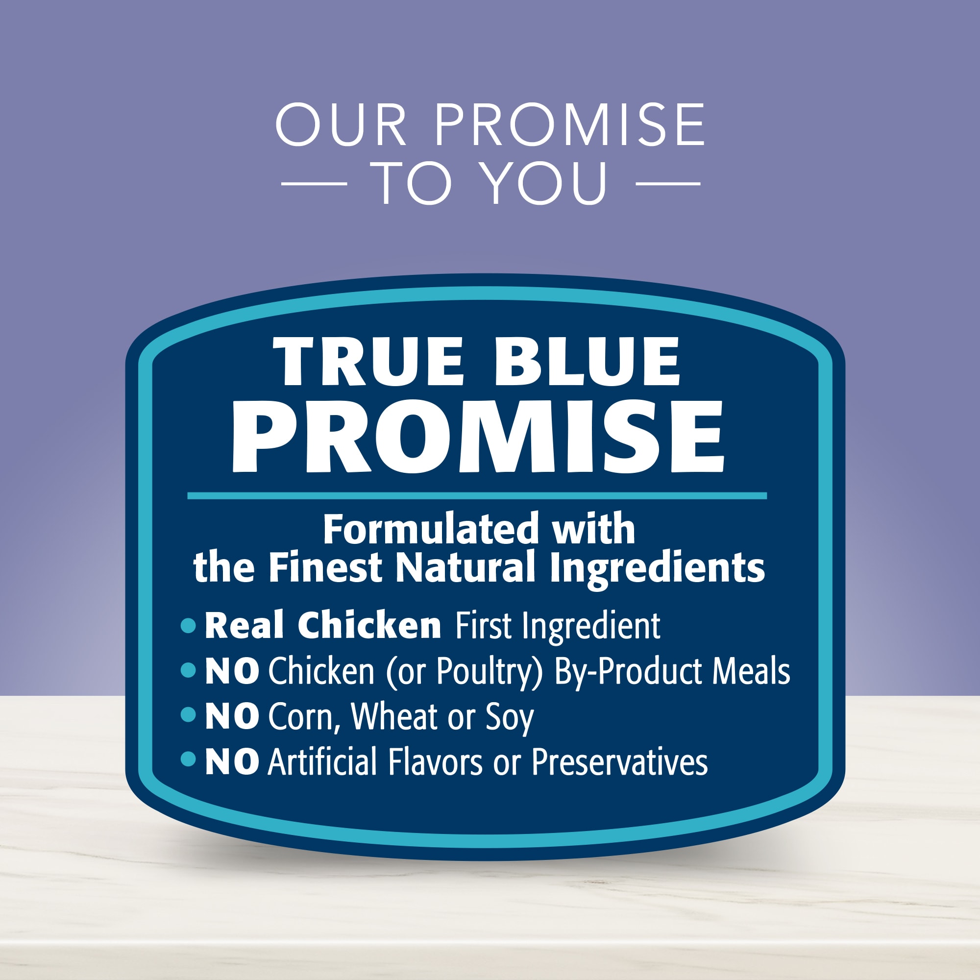 BLUE BUFFALO True Solutions Jolly Joints Natural Mobility Support Chicken Flavor Adult Wet Dog Food， 12.5 oz.， Case of 12