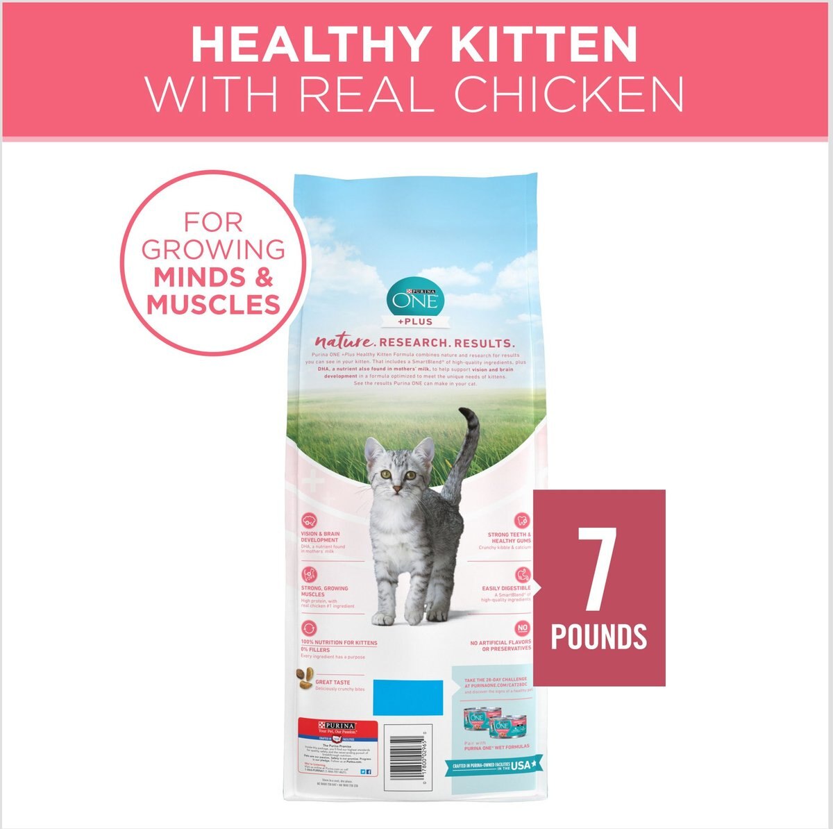 Purina ONE +Plus Healthy Kitten Formula Natural Dry Cat Food