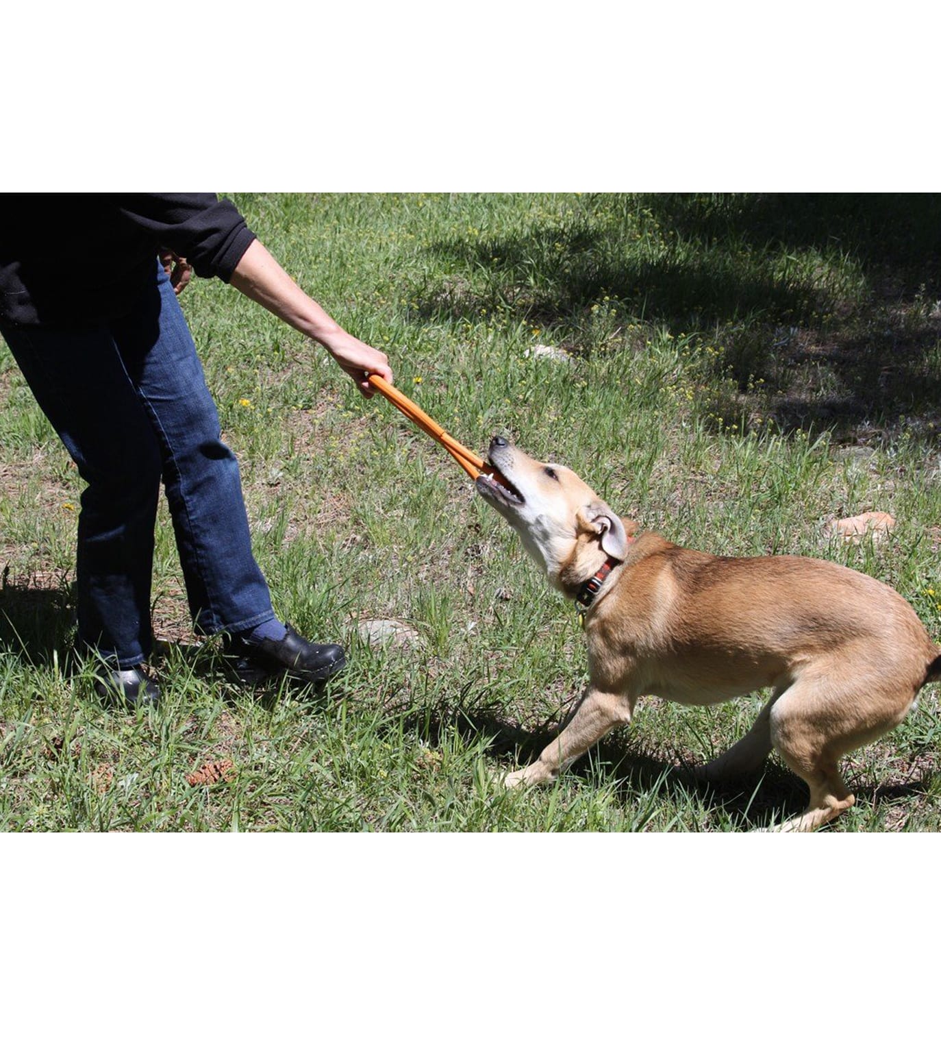 Sodapup Pop Top Tug Toy for Dogs