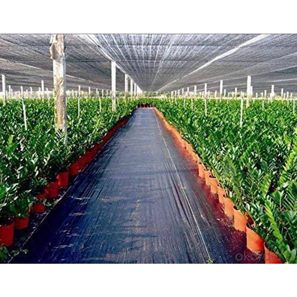 Agfabric 3 ft. x 50 ft. Landscape Fabric Weed Barrier for Weeds Block in Raised Garden Bed WB1503050