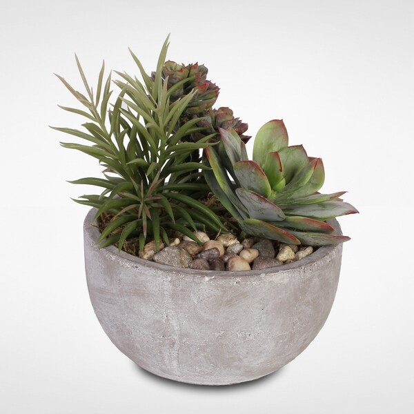 Artificial Succulents with Natural Pebbles in a Cement Bowl