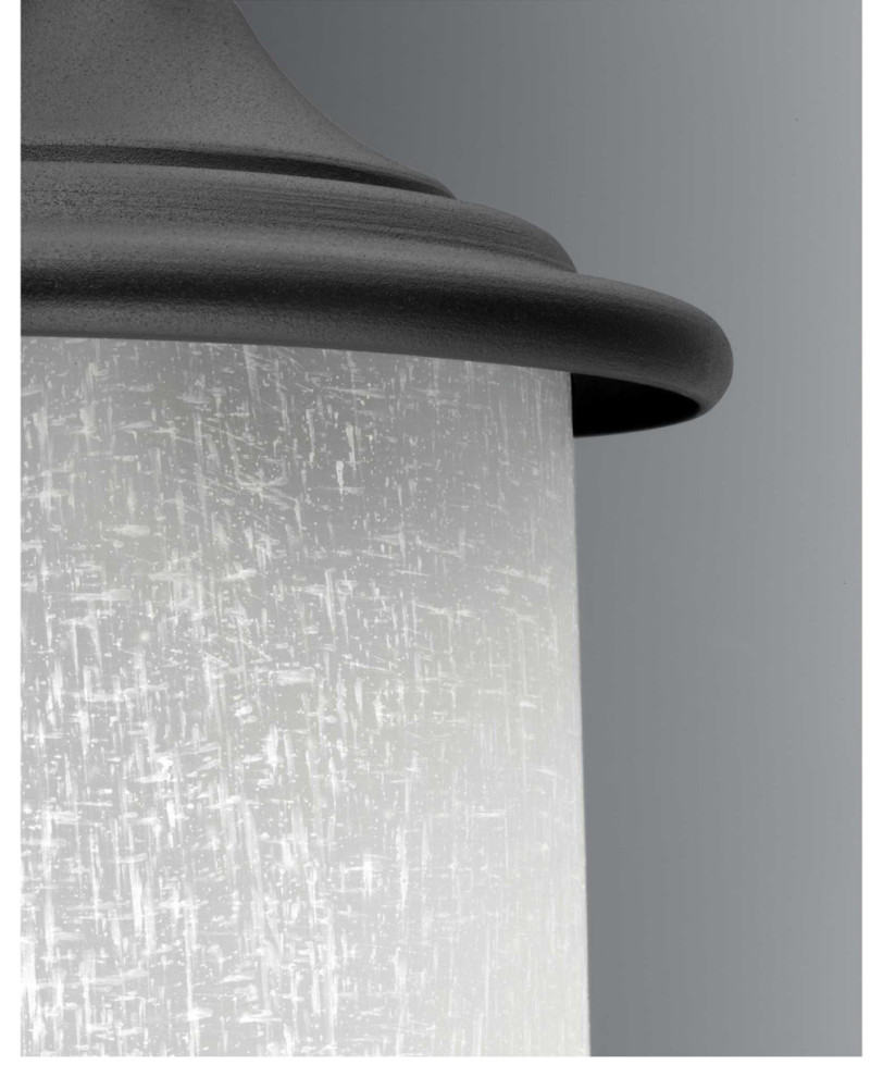 Essential 1 Light Outdoor Wall Light  Black   Transitional   Outdoor Wall Lights And Sconces   by Lighting New York  Houzz