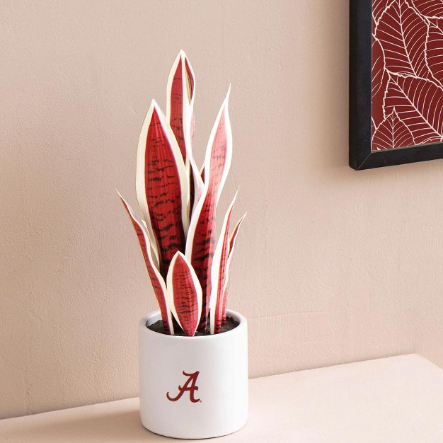 Quicskcart University Of Alabama Faux Snake Plant， Indoor Artificial Plant For Home Decor