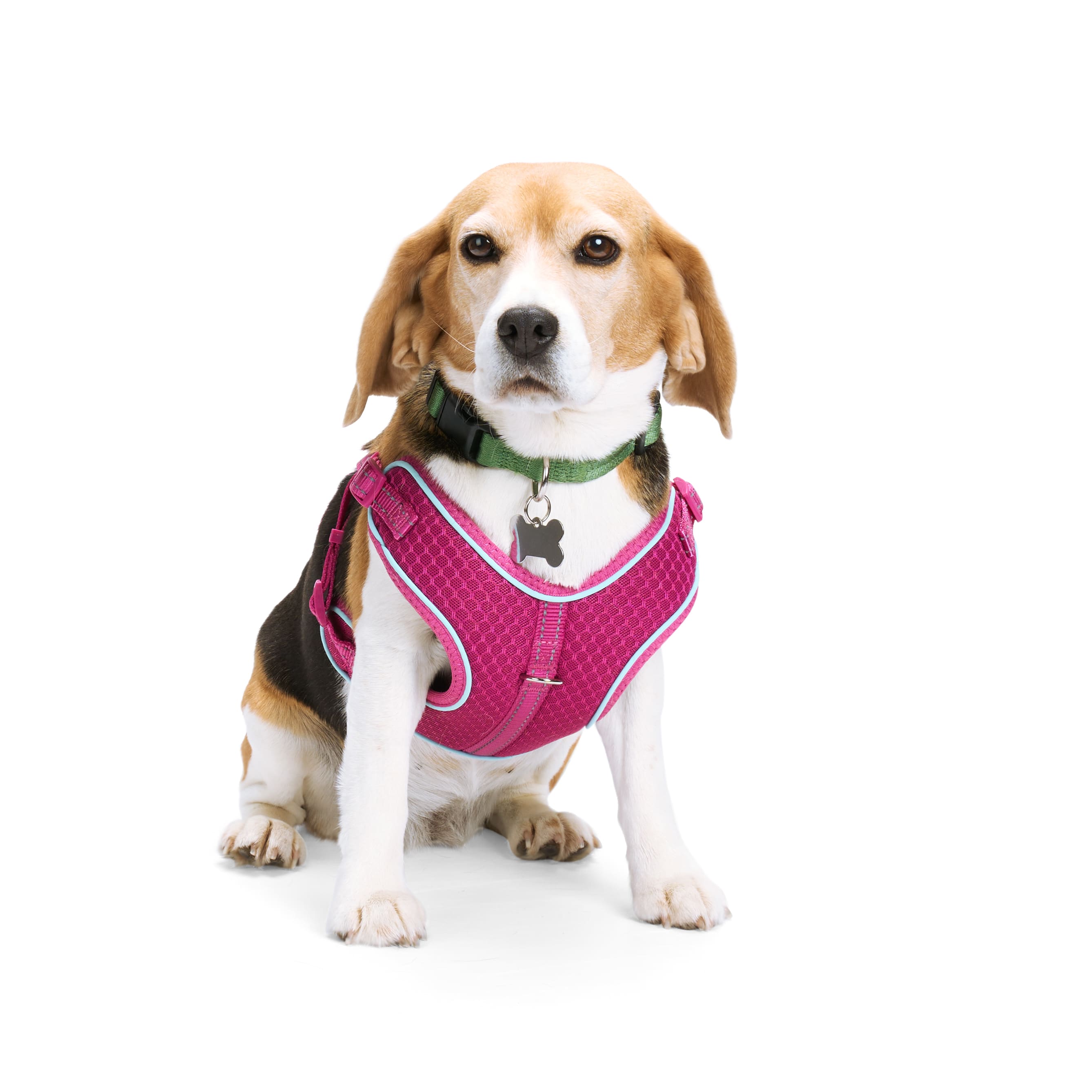 EVERYYAY Pink Reflective Trim Dog Harness， XX-Small/X-Small