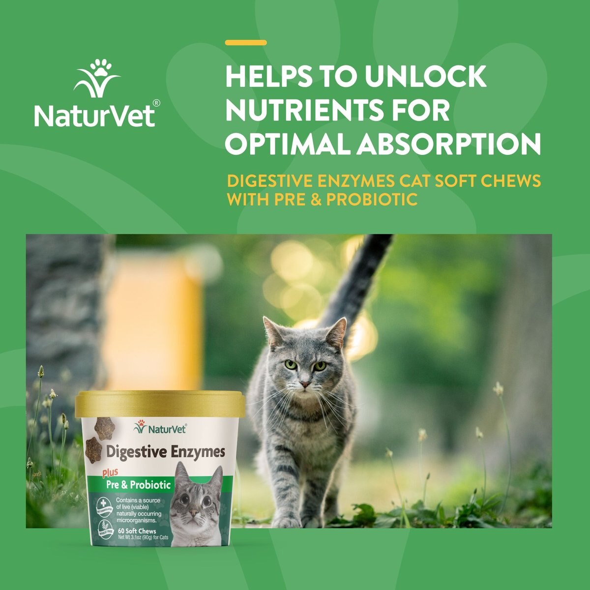 NaturVet Digestive Enzymes Plus Probiotic Soft Chews Digestive Supplement for Cats