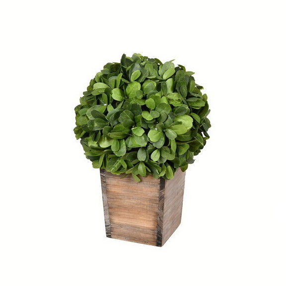 Vickerman Potted Boxwood Ball