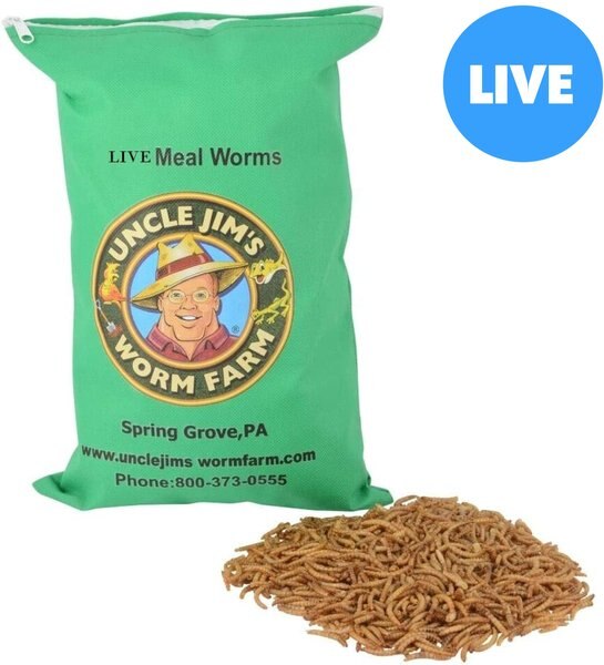 Uncle Jim's Worm Farm Live Mealworms Reptile and Fish Food