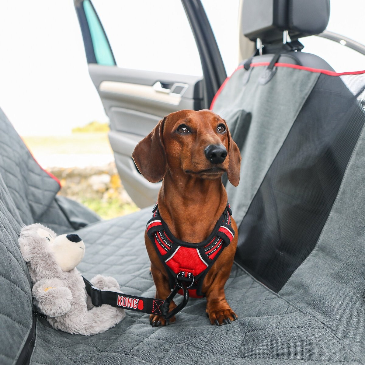 KONG 2-In-1 Bench Seat Cover and Dog Hammock