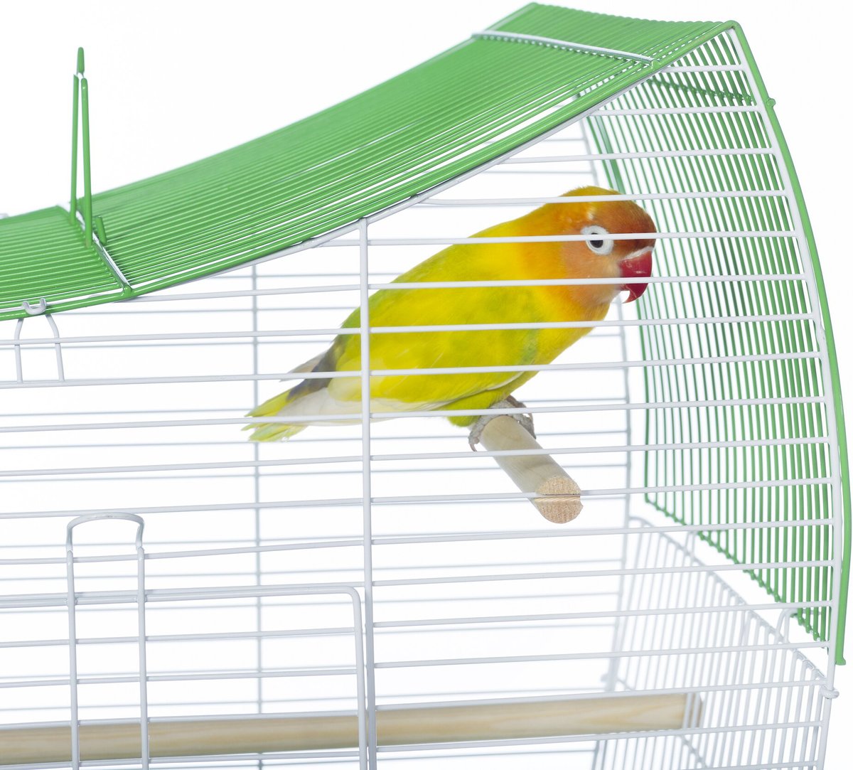 Prevue Pet Products Southbeach Wave Top Bird Cage