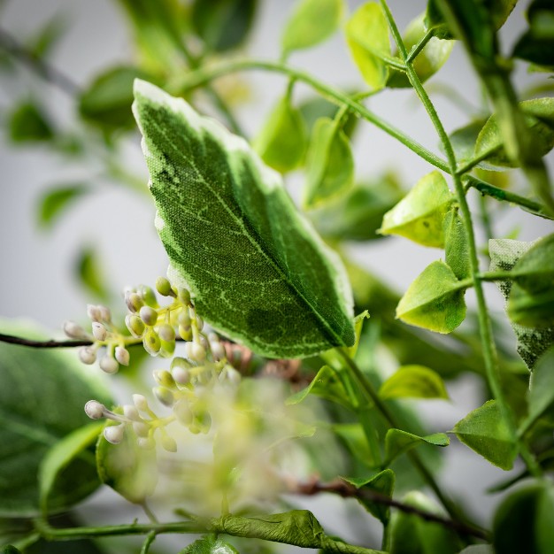 Sullivans Variegated Foliage Wreath