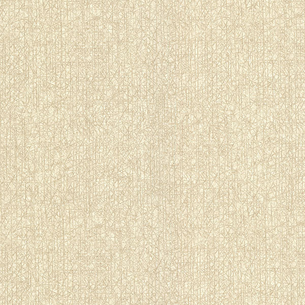 Nagano Taupe Distressed Texture Wallpaper from the Warner XI Collection