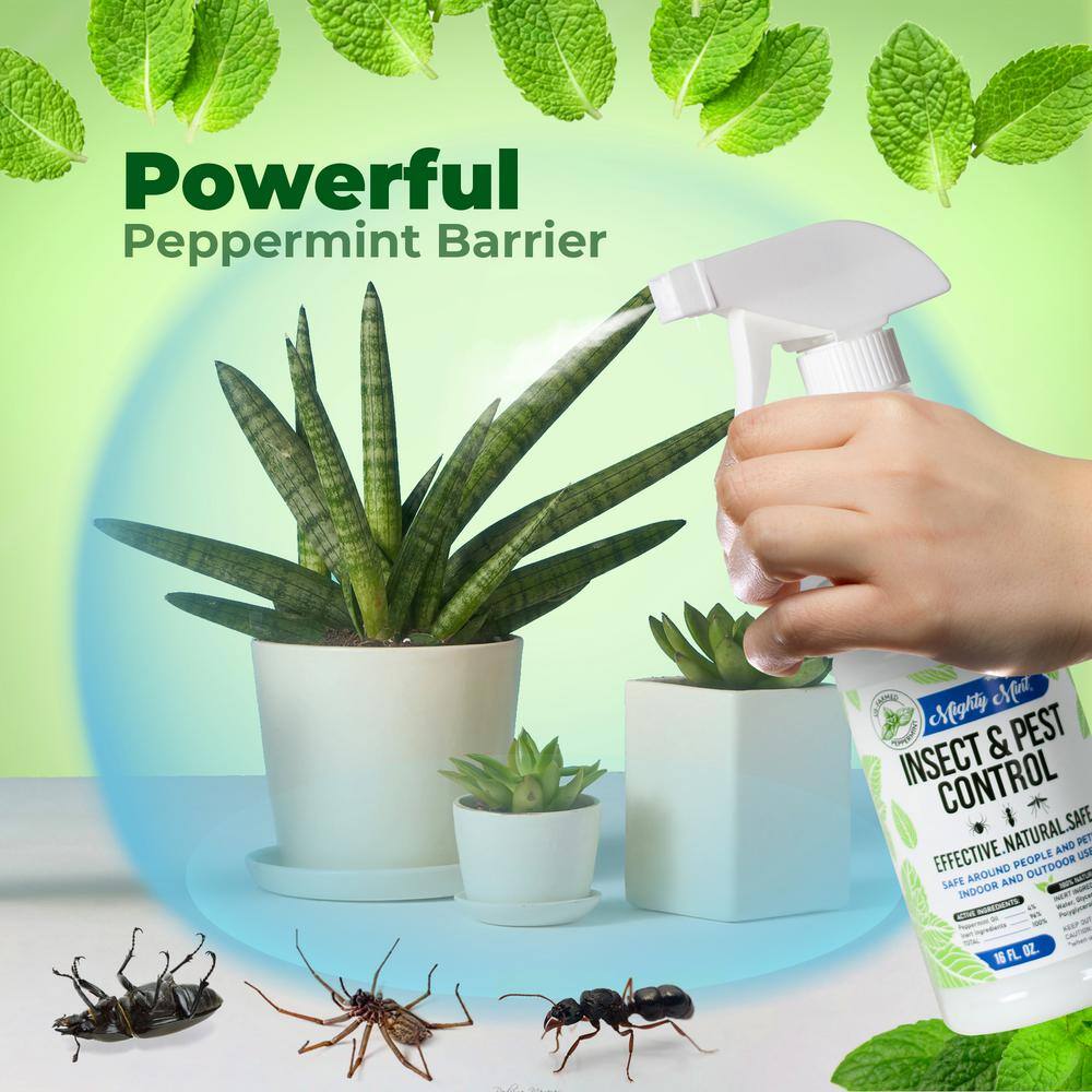 Mighty Mint 16 oz. Insect and Pest Control Peppermint Oil - Natural Spray for Spiders Ants and More IS-16