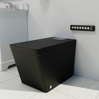 BTCSTAR Smart Toilet Bidet One-piece 0.81.2 GPF Dual Flush Square Toilet in. Matte Black Seat with Remote Panel BTCMFBTCT2005MB