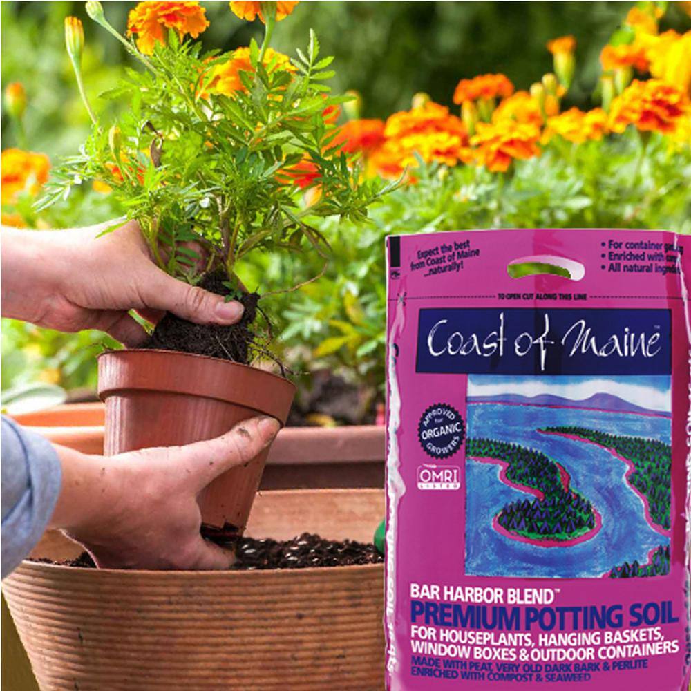 Bar Harbor Blend Organic Potting Soil 16 Qt. Bag (4-Pack) 4 x 1cbBH16