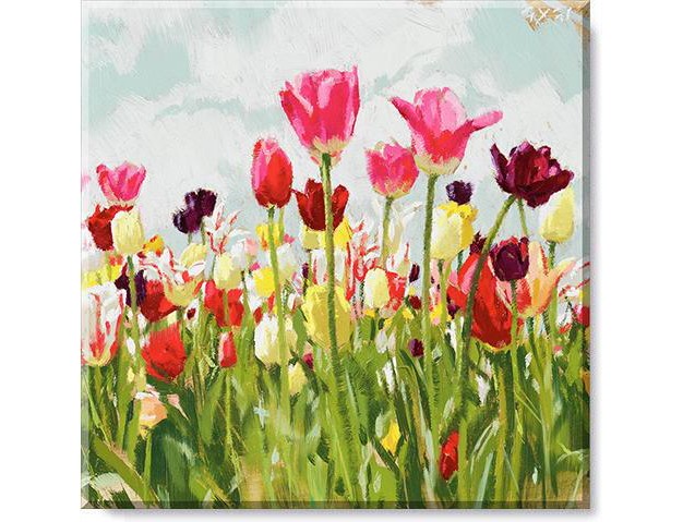 Sullivans Darren Gygi Tulip Field Canvas Museum Quality Giclee Print Gallery Wrapped Handcrafted In Usa