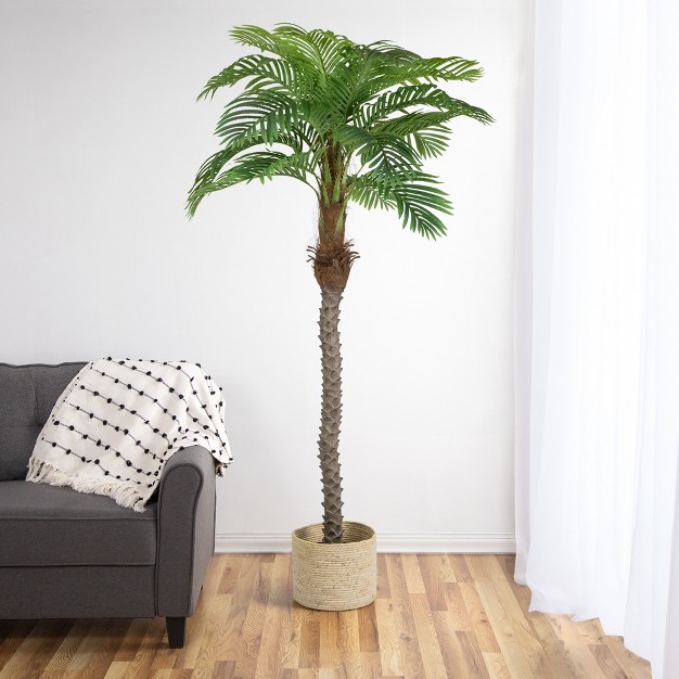 Northlight Artificial Potted Palm Trees - 6' - Set Of 2