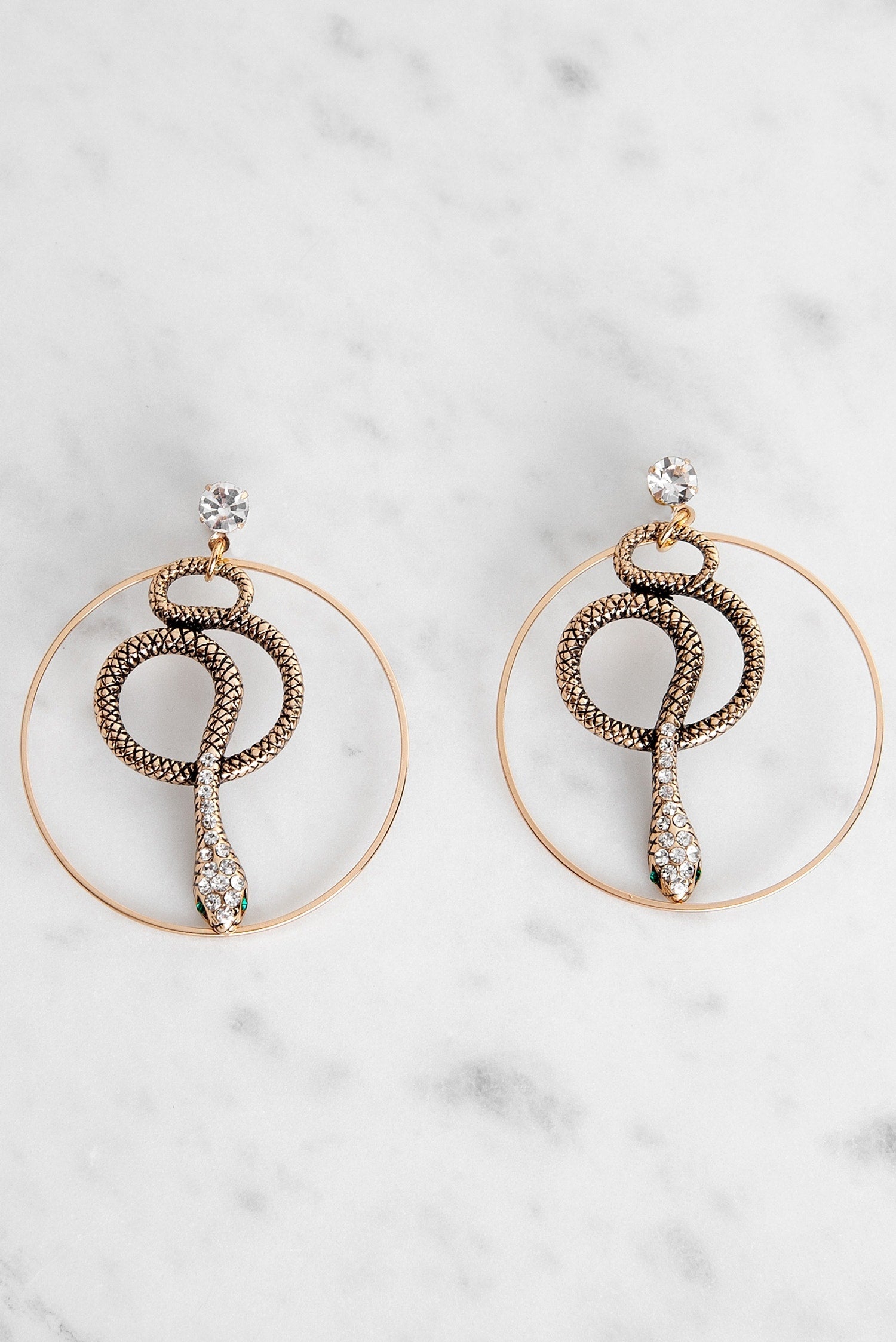 Charming Snake Hoop Earrings