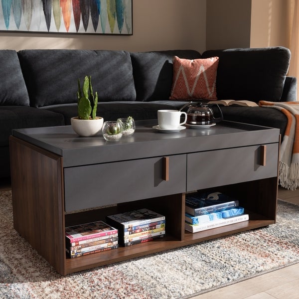 Contemporary 2-Drawer Coffee Table