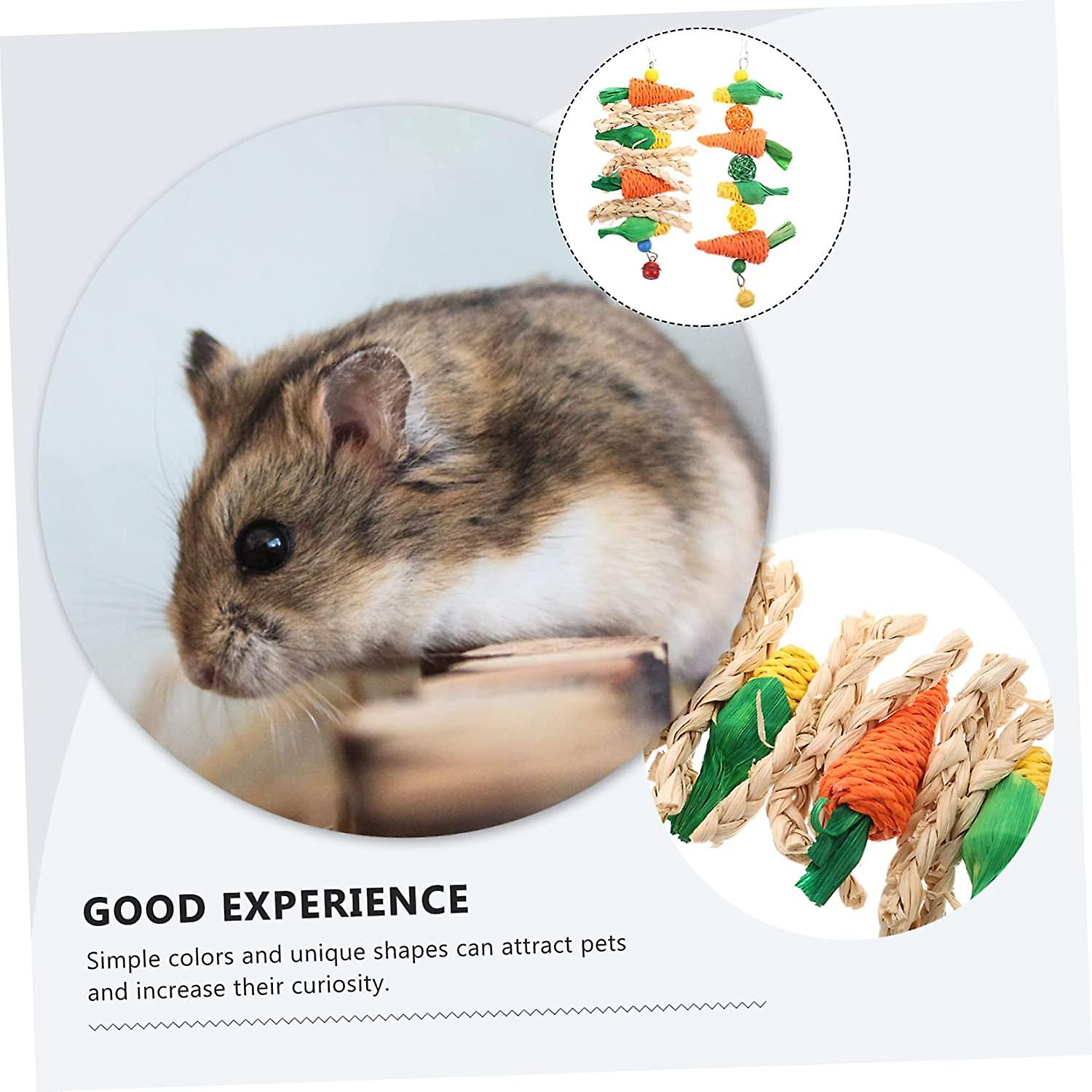 4 Pcs Hamster Chews Pet Toys Sea Snacks Animal Toy Bunny Tooth Chew Toys Bunny Hanging Toys Calming Toys Rabbit Molar Toy Rabbit Biting Playthings Ham