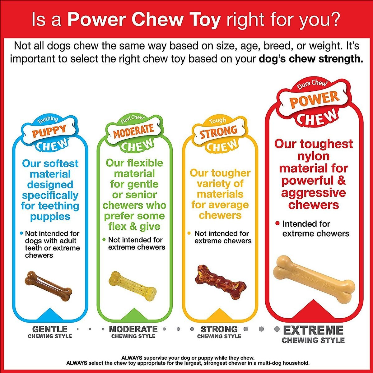 Nylabone Power Chew Action Ridges Bacon Flavored Dog Chew Toy