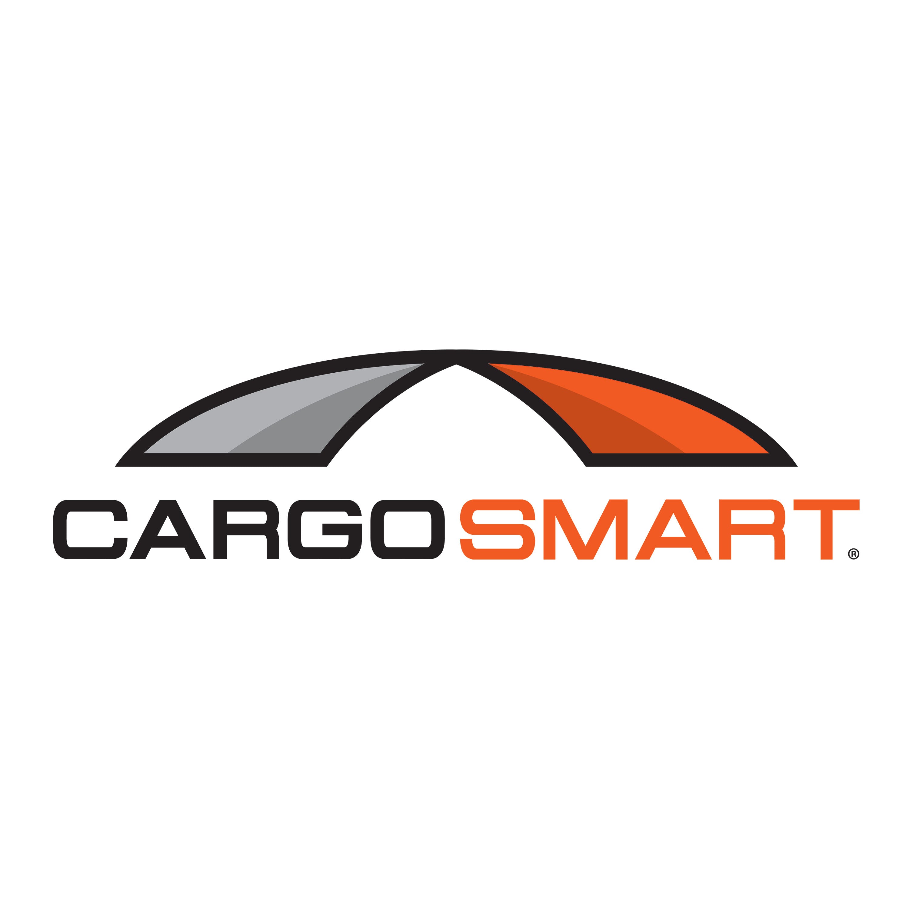 CargoSmart 6673 X-Track Rope Ring Tie Down Strap, 2,000 lb Strength