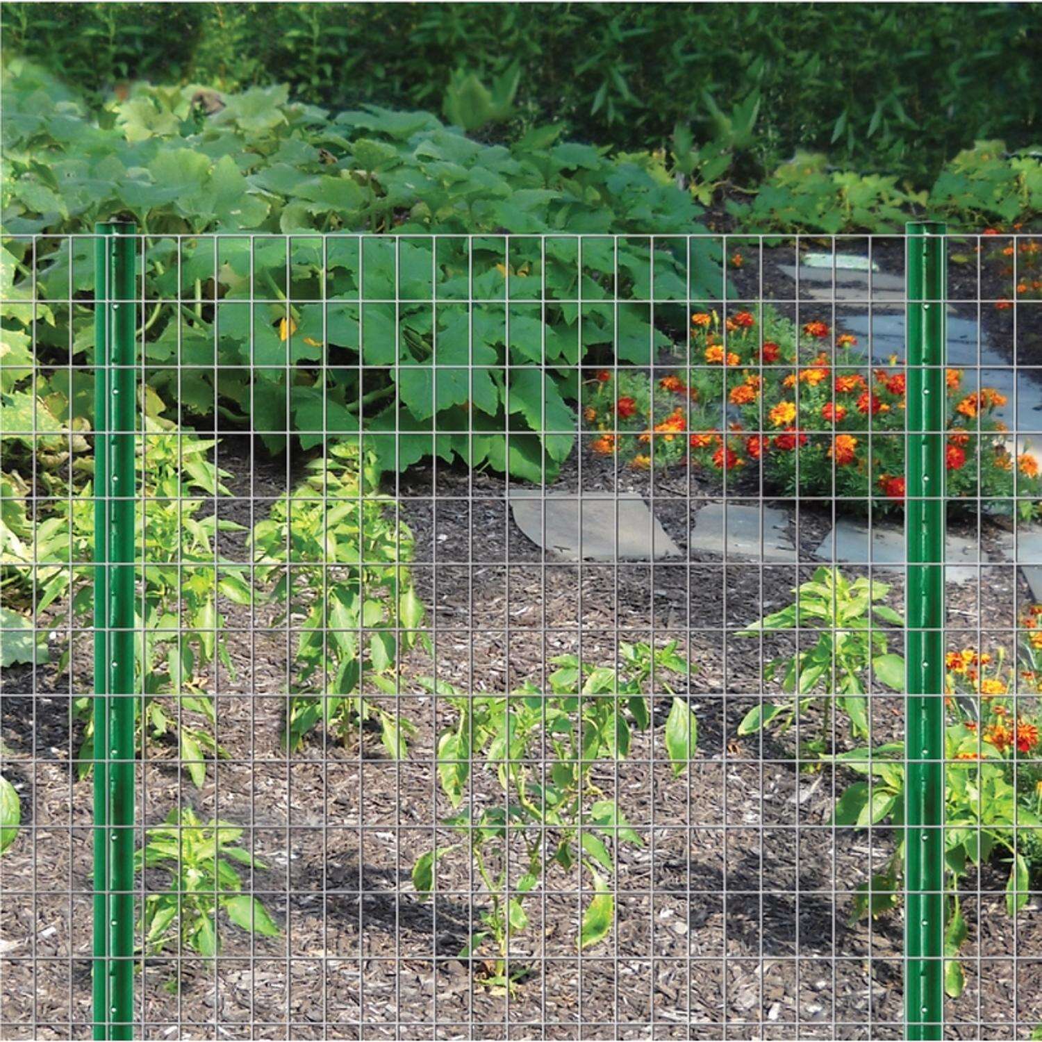 Garden Craft 36 in. H X 50 ft. L Steel Welded Wire Fence 2x3 in.