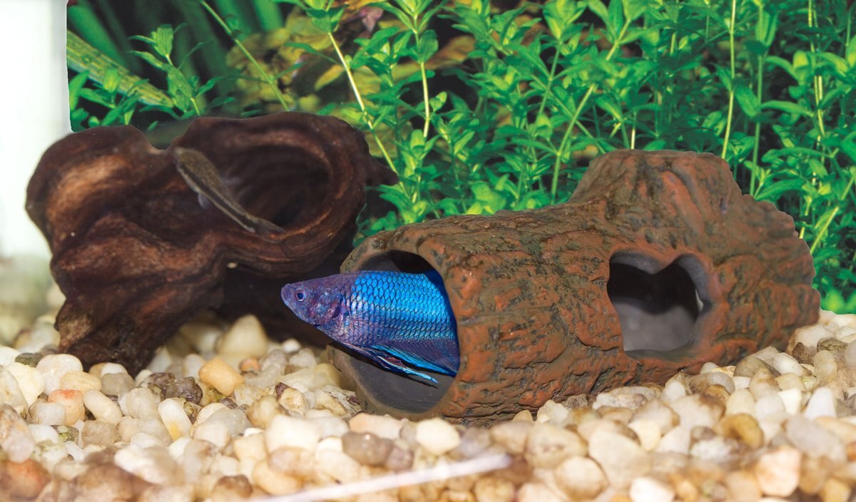 Zoo Med Ceramic Betta Log