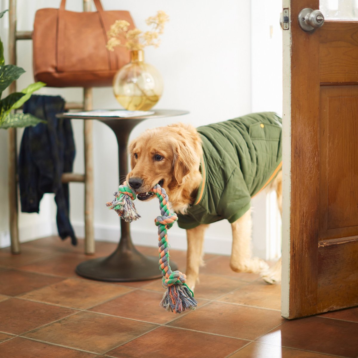 Frisco Mediumweight Insulated Quilted Bomber Dog and Cat Coat