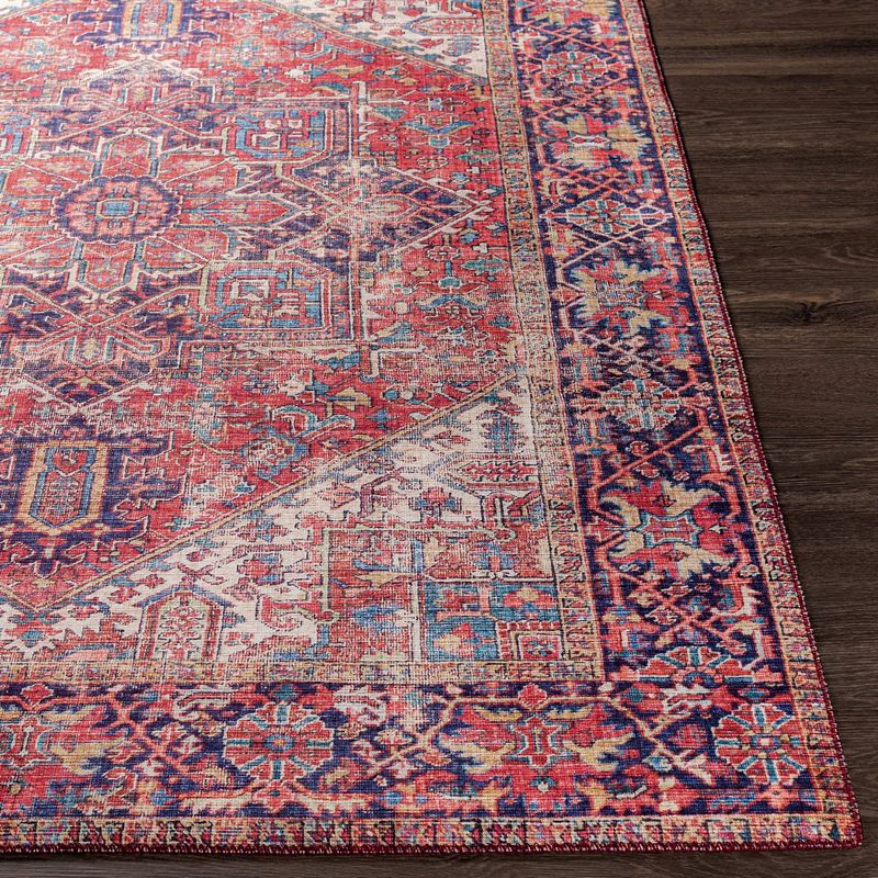 Medevoort Traditional Area Rug