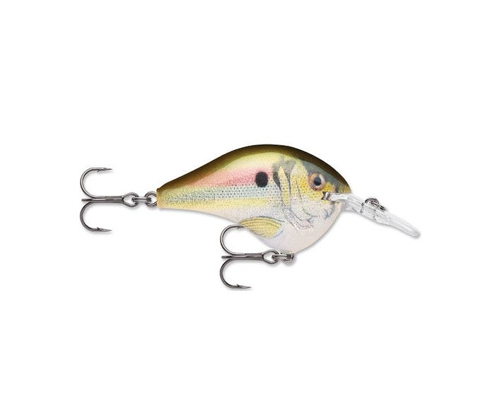 Rapala Dives-To 06  Live River Shad  DT06RSL