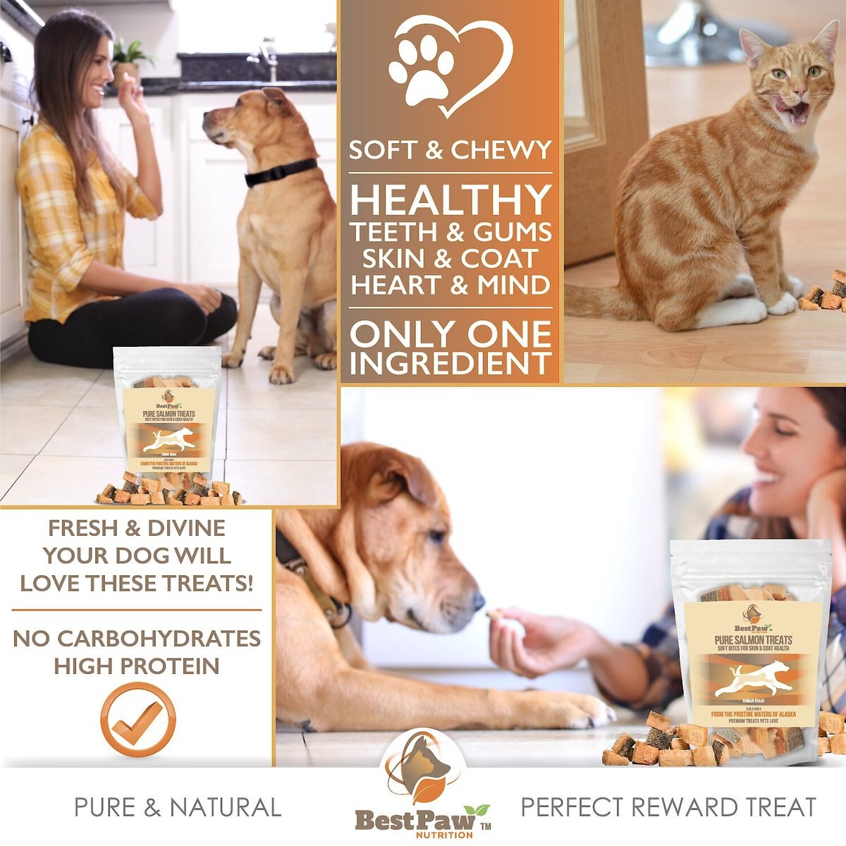 Best Paw Nutrition Wild Alaskan Salmon Grain-Free Freeze-Dried Dog and Cat Treats