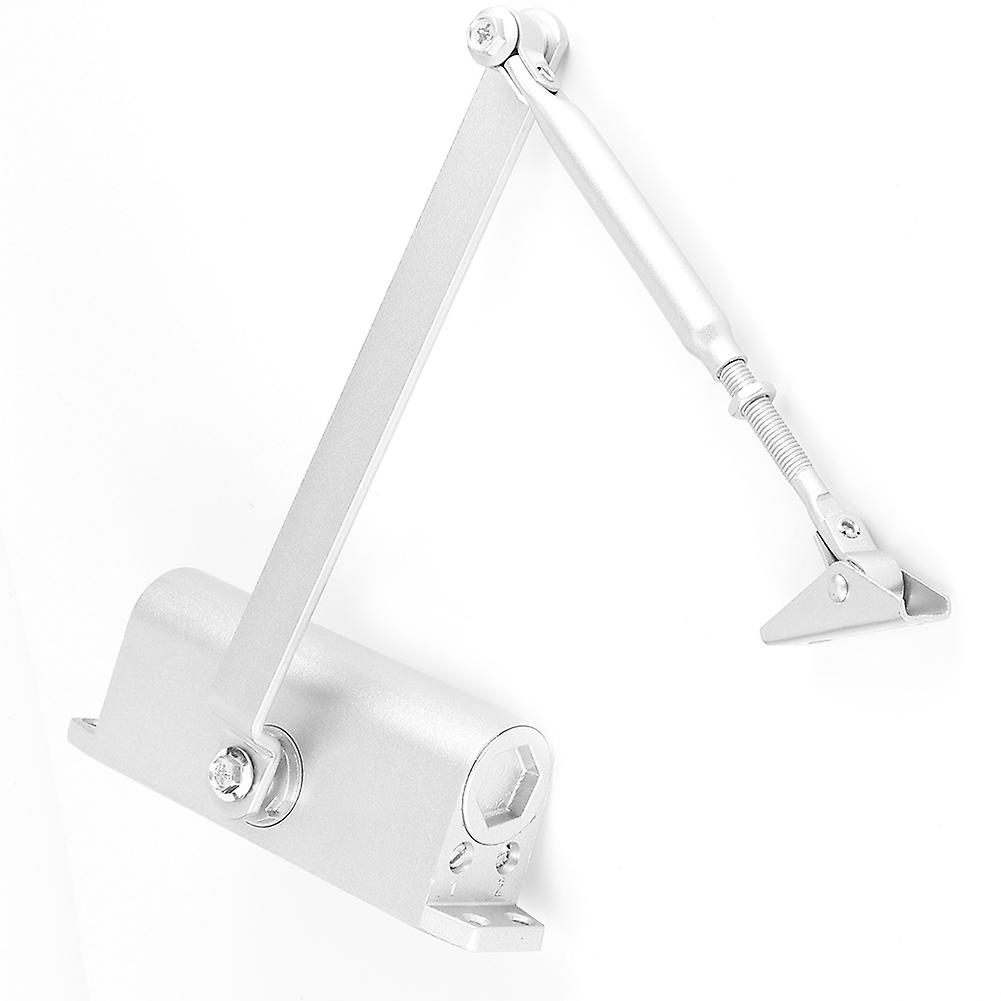 Modern Automatic Adjustable Hydraulic Buffer Fire Door Closer Positioning Doors Controllerm 65kg