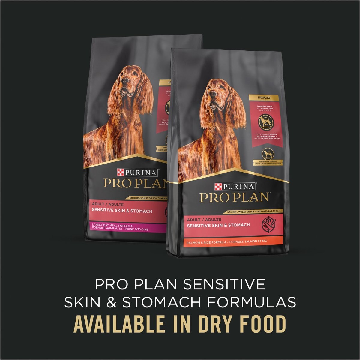 Purina Pro Plan Focus Adult Classic Sensitive Skin and Stomach Salmon and Rice Entree Canned Dog Food