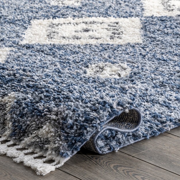 Nuloom Transitional Regina Shag Area Rug