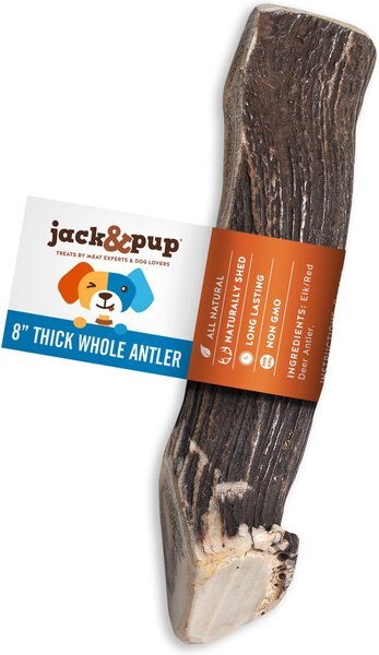 Jack and Pup Large Whole Elk Antler Extra Thick Dog Chew， 8-in