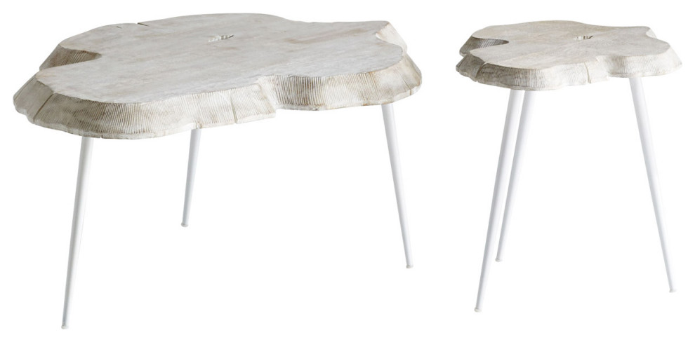 Palmer Coffee Table  Whitewash   Rustic   Coffee Tables   by Lighting New York  Houzz