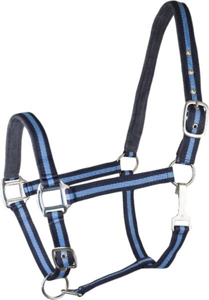 Gatsby 2-Tone Suede Padded Nylon Halter