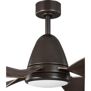 Progress Lighting Holland 60 in. Integrated LED Oil Rubbed Bronze Ceiling Fan with Light P250032-108-30