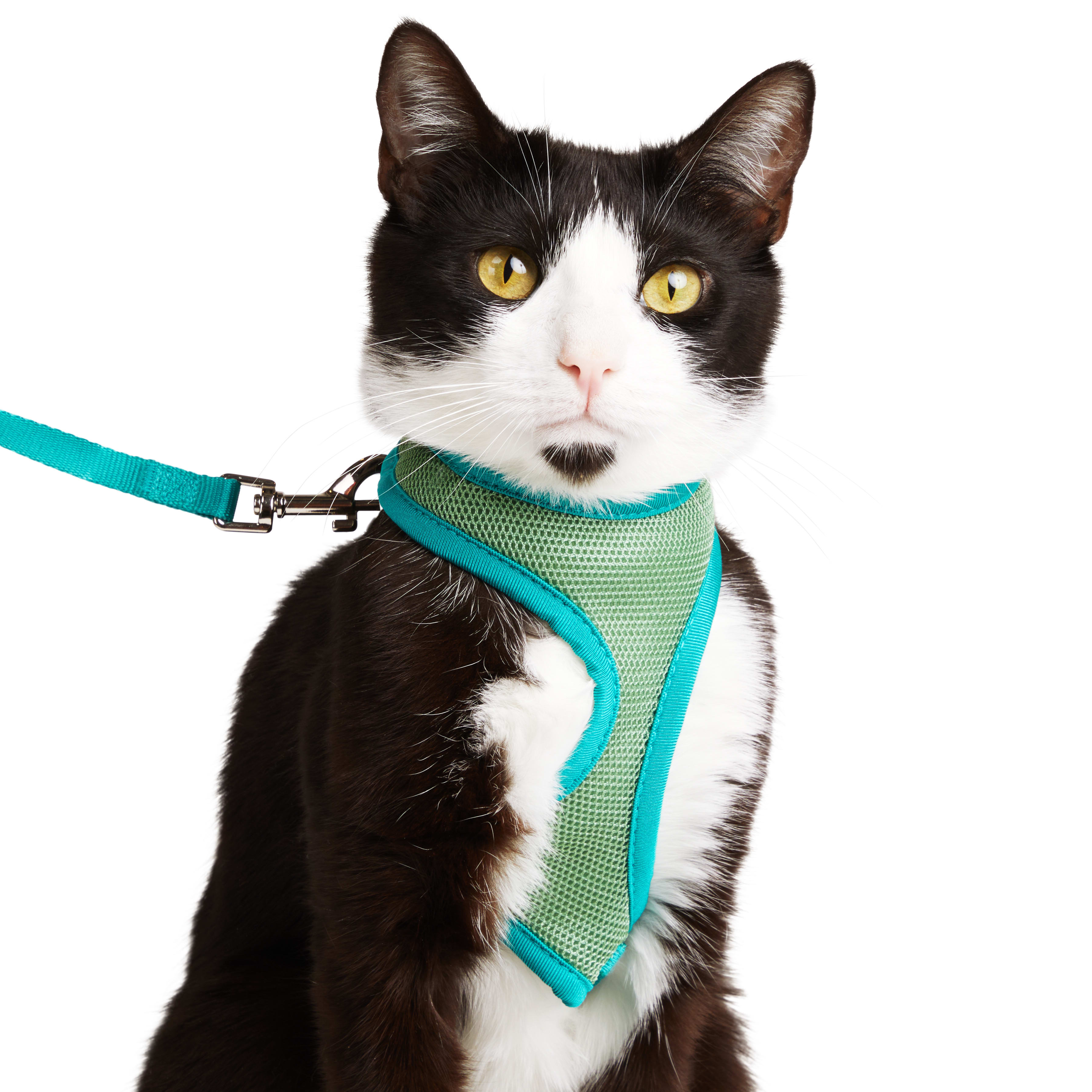 YOULY Green Cat Harness  Lead