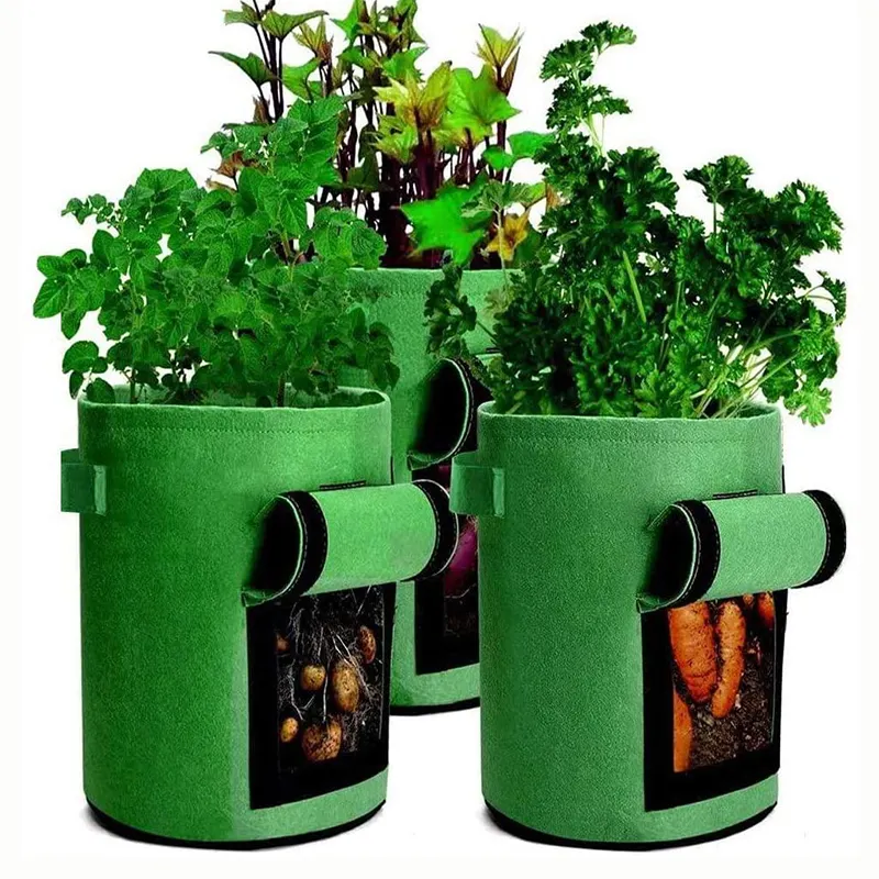 Plant fabric smart bag polyester felt 1 3 5 gallon garden supply felt green grow bag for growing flowers